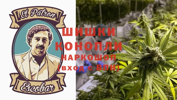 spice Медвежьегорск