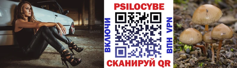 Галлюциногенные грибы Psilocybe  Людиново 