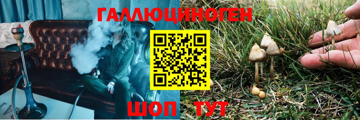 Псилоцибиновые грибы GOLDEN TEACHER  Людиново 