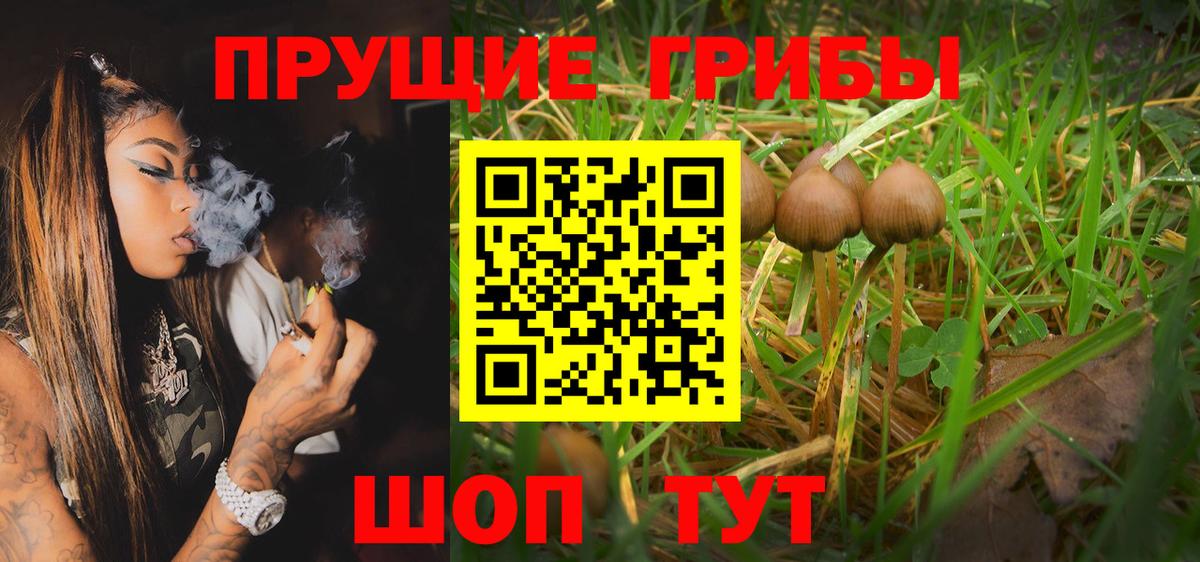 Галлюциногенные грибы ЛСД Людиново