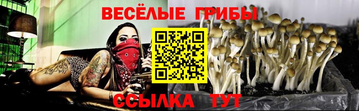 Галлюциногенные грибы мицелий Людиново